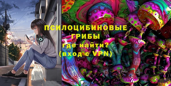 Альфа ПВП Вязьма