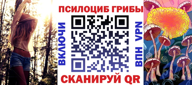 где можно купить   Емва  Псилоцибиновые грибы Cubensis 